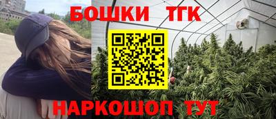 тгк Лесосибирск